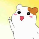 김종용 누룽지통닭(춘천점) 이미지