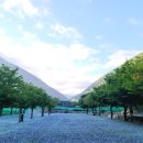 월악산들바람 | 월악산 힐링캠핑, 몰랐던 계곡 명소 — 월악 포레스트캐빈&amp;캠프 찐후기