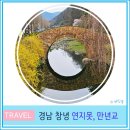 영산 연지 | 대구 근교 가볼 만한 곳 경남 창녕 연지못 수양 벚꽃 명소 실시간 개화상태 영산 만년교 4월 봄꽃 여행