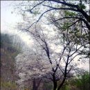 신선마을 이미지