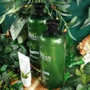 헤어  in 이미지