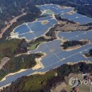 물고기태양광발전소 이미지