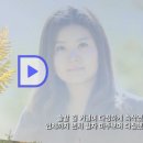 우정곡 Daum카페