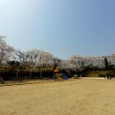 능북초등학교 이미지