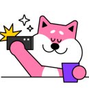 팀라이온 이미지