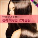 풍성유지 Daum카페
