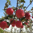 무성기업 이미지