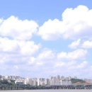 하늘솜사탕 이미지