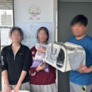 동백이 | 사랑을 하나씩 배워가는 아기 고양이, 동백이의 입양 후기