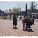 청라농장 | 청라 쭈꾸미 맛집 + 안성팜랜드 후기 –아기 동반 놀이공원 입장료·놀이기구·동물원 총정리