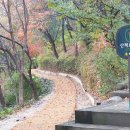 와룡공원길 이미지