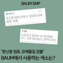 바움SMP
