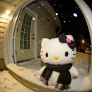 백의게스트하우스 | 도쿄여행기 5박6일 Day4 나홀로하코네 (도쿄근교여행, 온천코스, 1박짐맡기기)