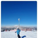 휘닉스파크 이미지