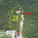경북 의성군 2만평 산림경영, 목장용지용 임야 이미지