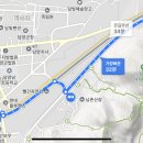 중앙로 메타세콰이아길 이미지