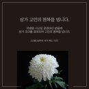 용두체육관 이미지