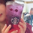 제이디이네일스튜디오
