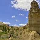 화이트벨리 이미지