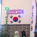 알로하디디 | 화성 애견복합시설 「알로하디디」 솔직후기