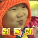 비비드컴퍼니