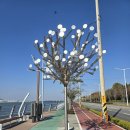 강과바다의 탑 이미지