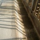 한우농장2 이미지