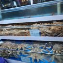 방가대게 이미지