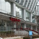 [서울/마포] 호텔 나루 엠갤러리 결혼식 하객 후기