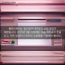 벨카 이미지
