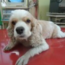 군포1동주민센터 이미지