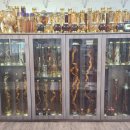 약초백숙토계정 이미지