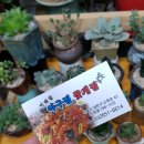 이해림아구찜 이미지