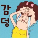 레푸스앤스타일 일산장항점 이미지