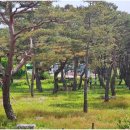 삼산 소공원 이미지