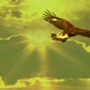 ＜엘 콘도 파사(El Condor Pasa)＞ 레오 로하스, 사이먼 앤 가펑클 이미지