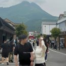 후쿠오카 라쿠투어 히유벳(히타,유후인,유후다케,벳부) 투어 내돈내산 후기
