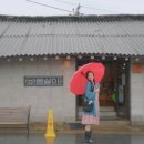 해달팥죽 이미지