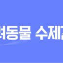 청년사료 이미지
