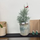 과천대로12길 | 과천지정타꽃집 플라워서이 I 흔하지 않은 고급스러운 감성 꽃집