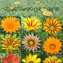 예일원