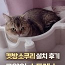 쿠리 | 여기 들어가고 안 나와요 캣방소쿠리 숨숨집 리얼후기