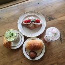 카페보아(CAFE BOA) | [부산]온천천카페거리 빵맛집 느좋카페'보아메르'