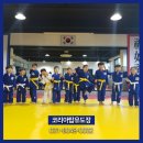 코리아탑 유도 멀티짐 이미지