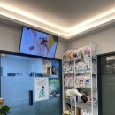 세온동물병원 | [안산] 초지동 세온동물병원 뾰루지 제거 진료후기