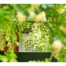 건들바위네거리 이미지