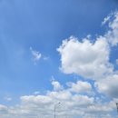 UR(파주시)-[교하로]-하-40 | [파주맛집] 교하제면소 파주뼈칼국수 오픈런 웨이팅 후기!