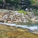 원조전주음식관 이미지