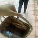 짱PC비바쿡 | [방콕] 🇹🇭 5박 6일 자유여행_ Day 2 (01) | 실롬타이쿠킹클래스| 혼자 여행 | 5월 우기 여행기