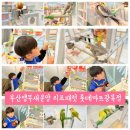 앵무새리프패럿롯데